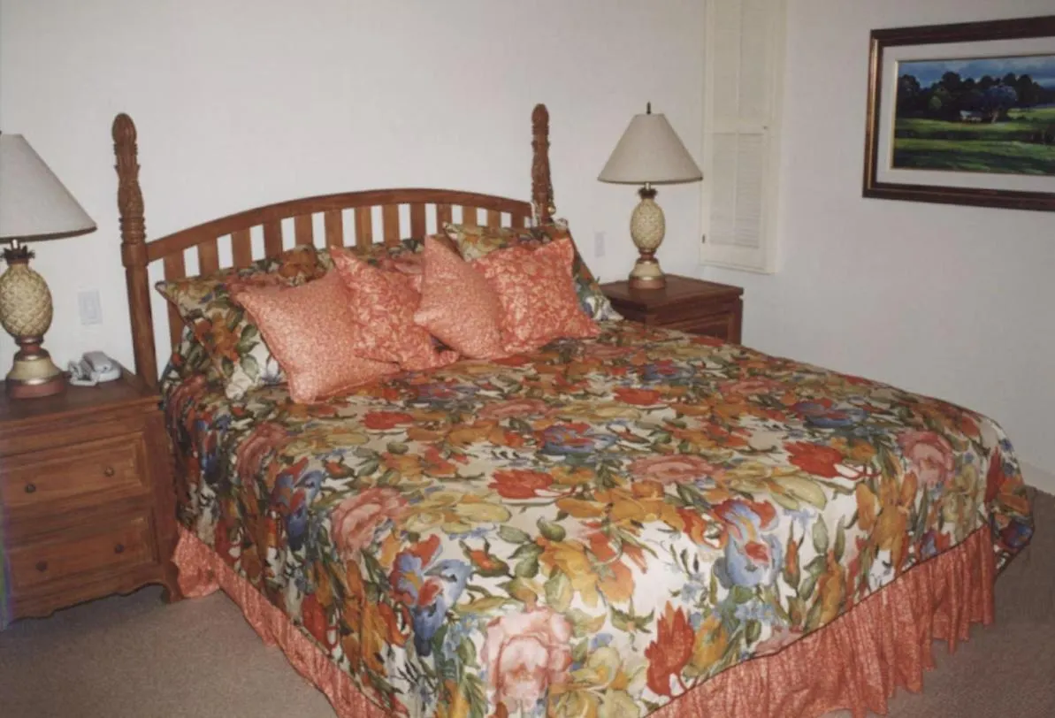 Wailea Oceanfront Rental