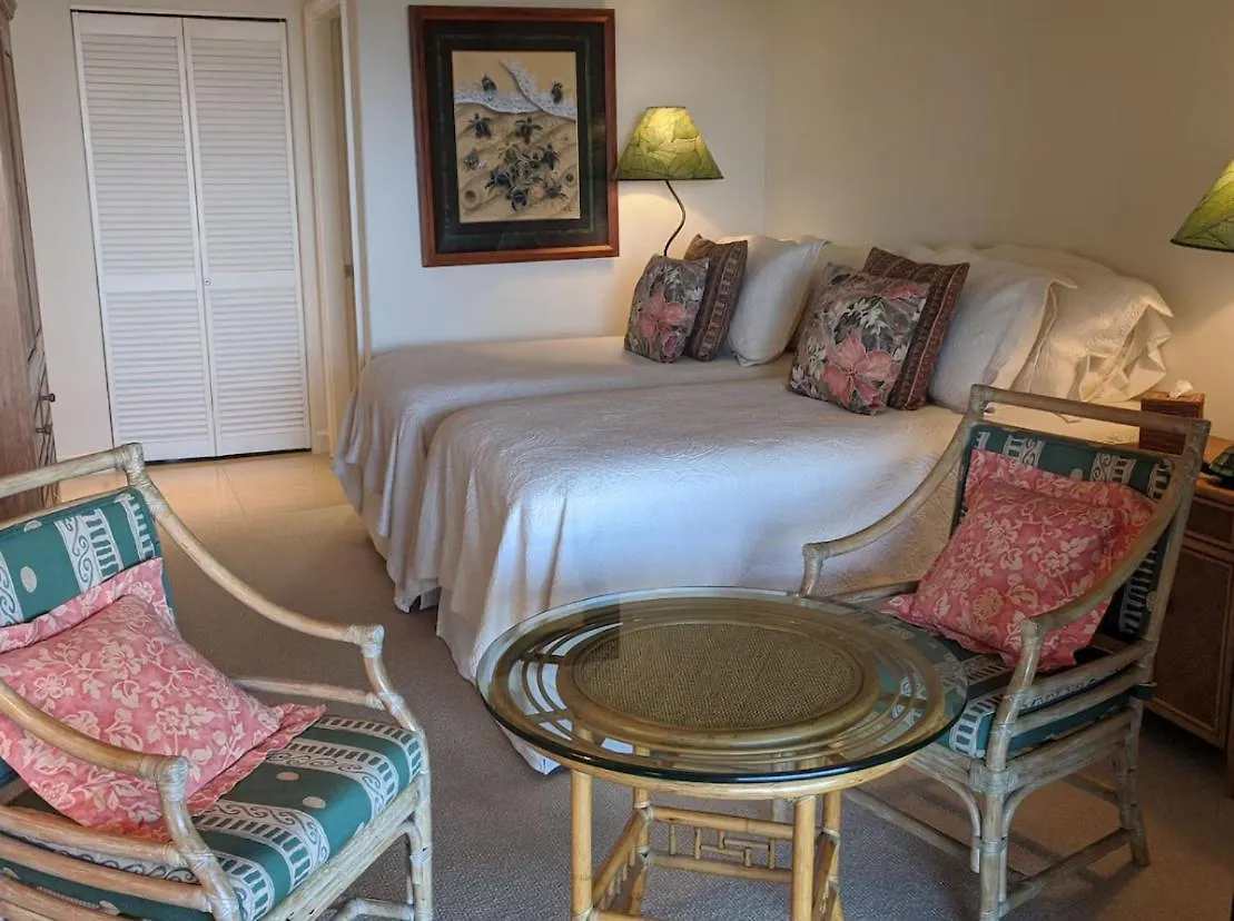 Wailea Oceanfront Rental