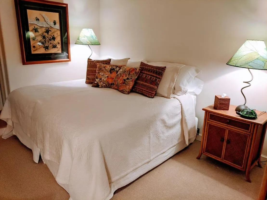 Wailea Oceanfront Rental Apartment Wailea (Maui)