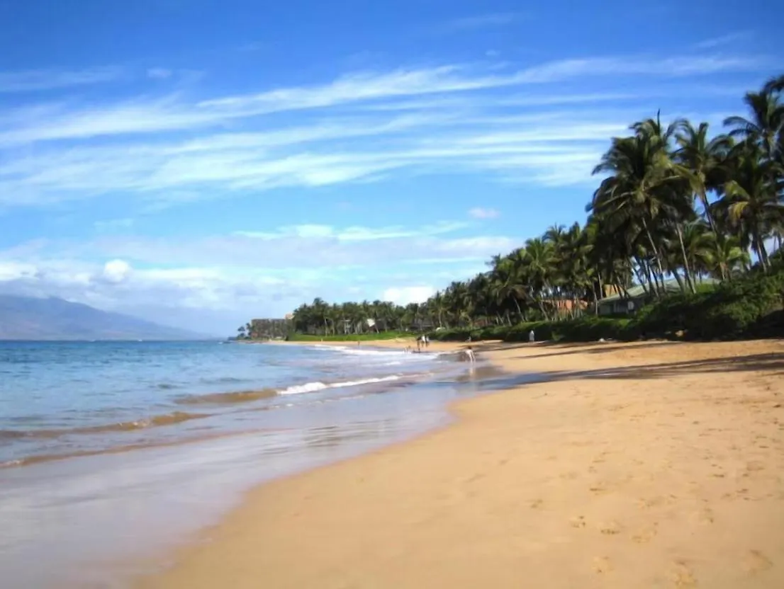 Apartment Wailea Oceanfront Rental