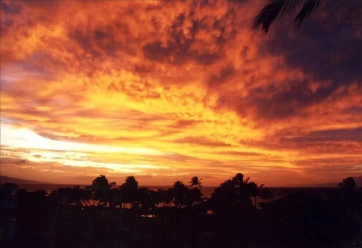 Wailea Oceanfront Rental Apartment
