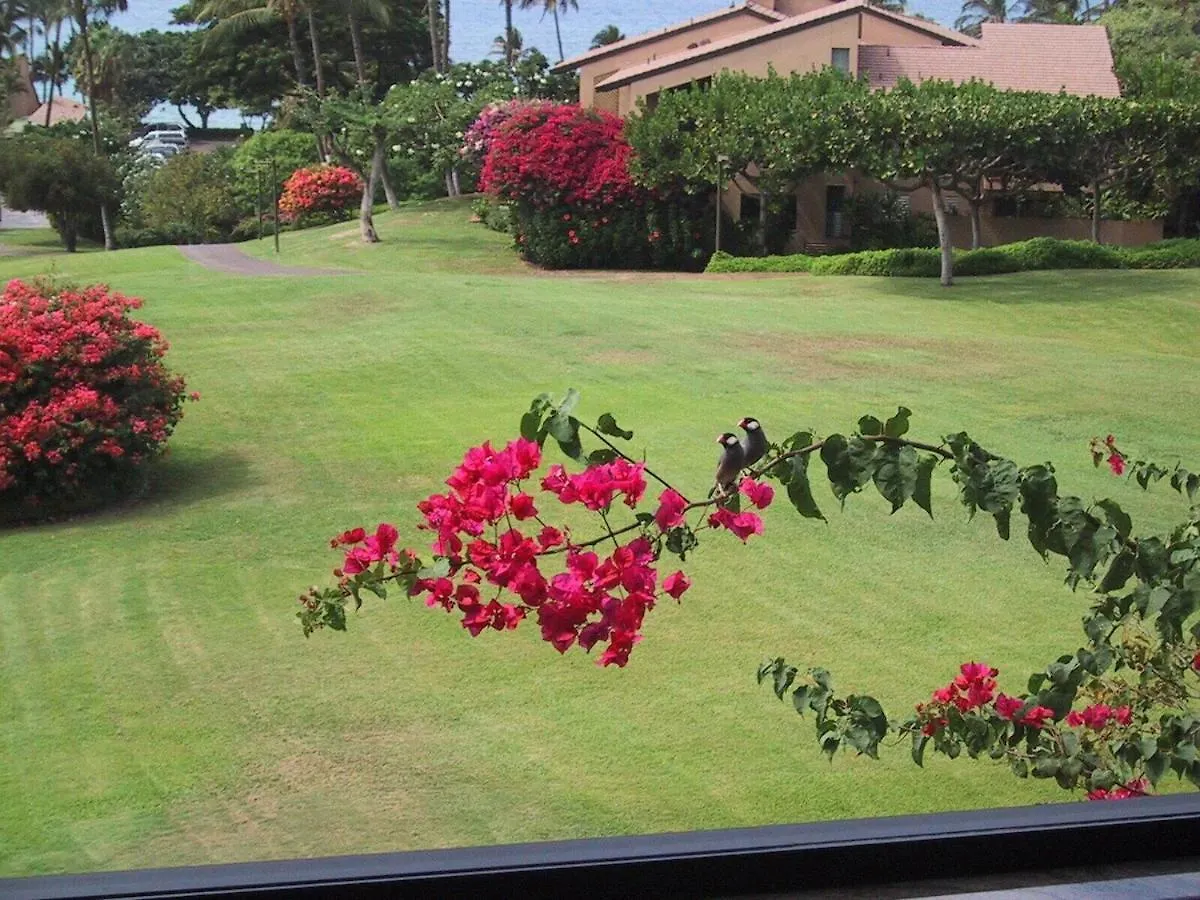 Apartment Wailea Oceanfront Rental United States